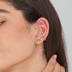 
            
                Load image into Gallery viewer, Gold Sparkle Crawler Barbell Single Earring
            
        
